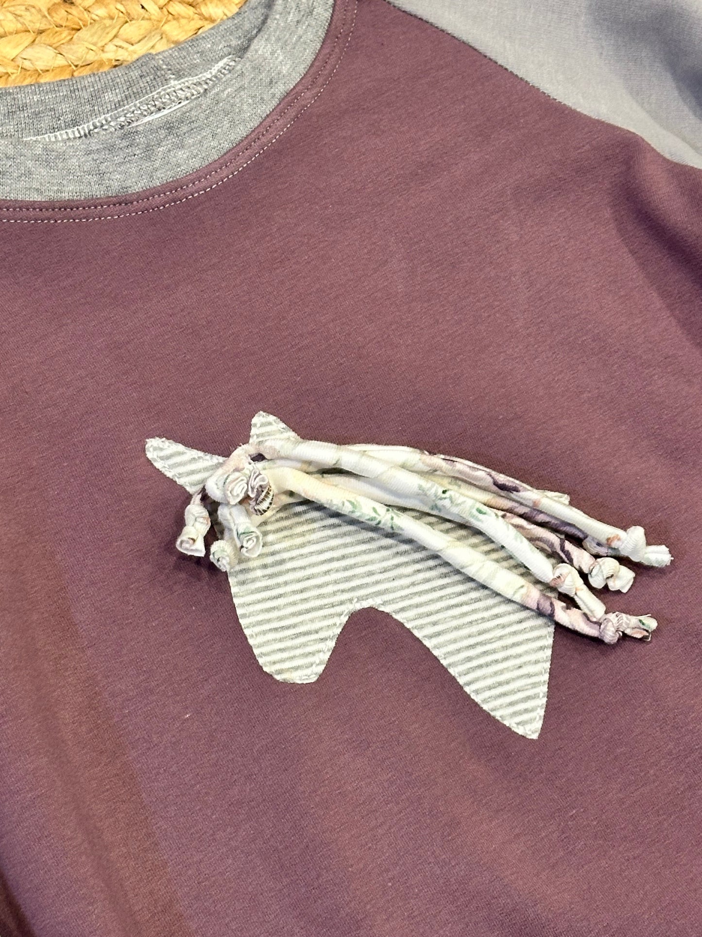 Unicorn Raglan Pullover and Jogger Set | Size 4/5T